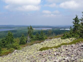 Blick zu den Galgenteichen Altenberg