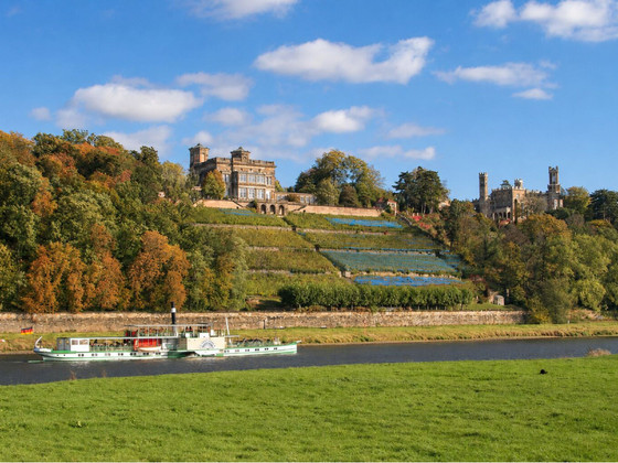 Eine Flussfahrt durch das Elbtal, vorbei an terrassierten Weinbergen und historischen Gebäuden, umgeben von herbstlich gefärbten Bäumen unter einem blauen Himmel mit vereinzelten Wolken.