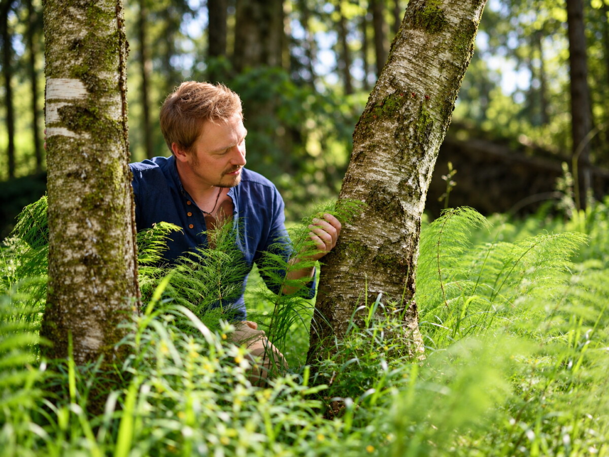 Ein Mann kniet zwischen zwei Bäumen in einem sonnendurchfluteten Wald und betrachtet aufmerksam die grünen Farne, die am Fuß eines der Bäume wachsen.