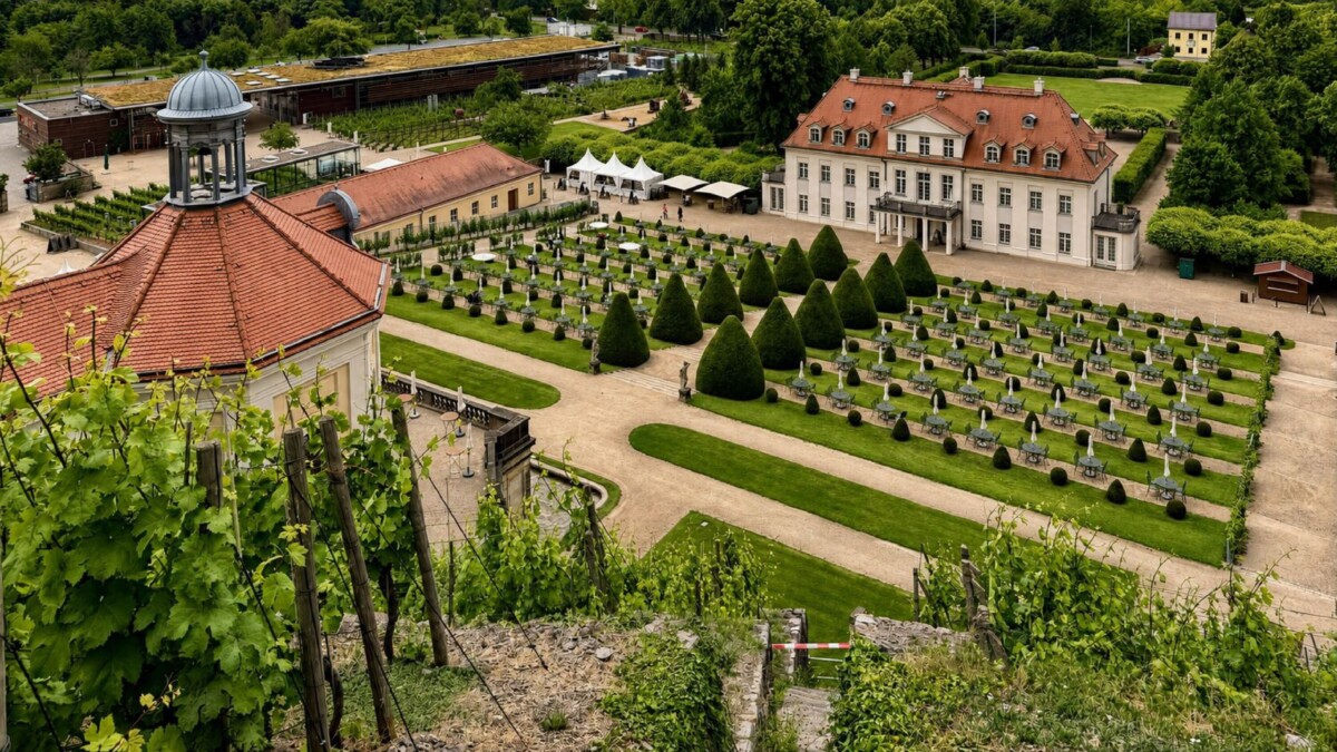 Luftaufnahme eines weitläufigen Anwesens im Elbtal mit gepflegten Gärten, symmetrisch geschnittenen Sträuchern und Kieswegen. Die beiden Gebäude mit roten Dächern und einem zentralen Innenhof liegen eingebettet zwischen Weinbergen und üppigem Grün.